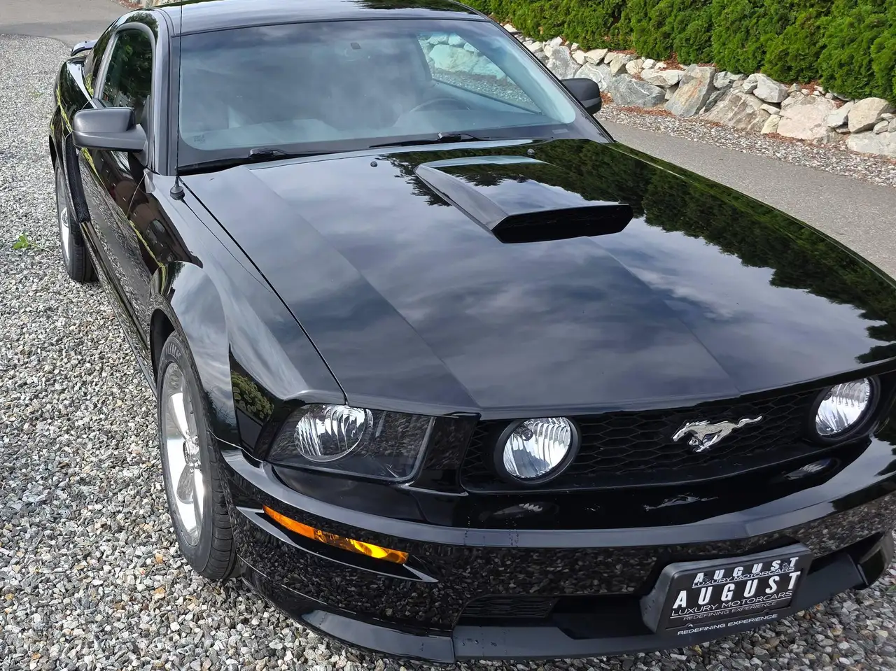 Ford Mustang fotografie Ford Mustang