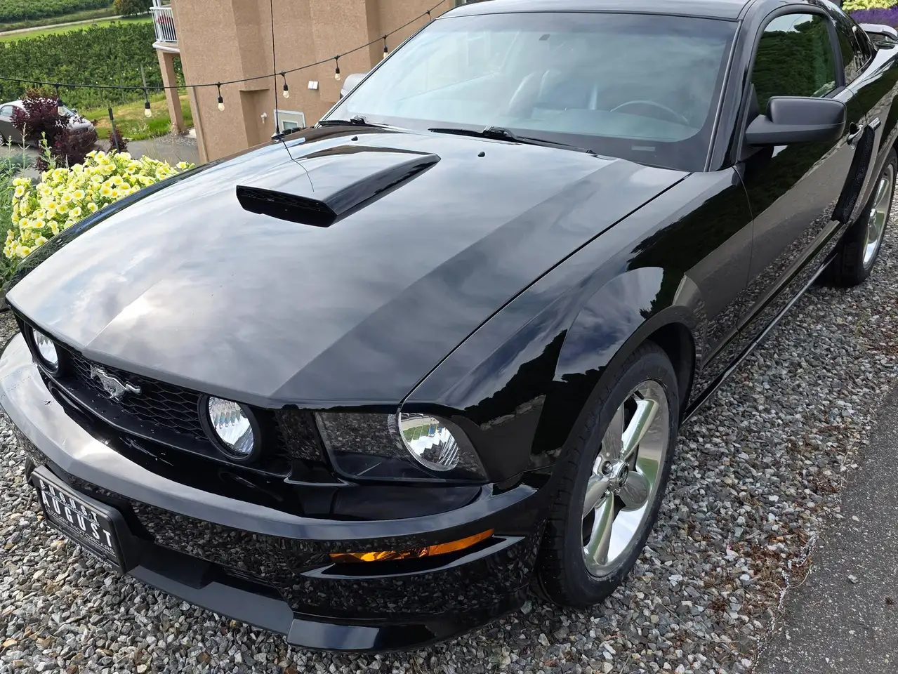 Ford Mustang fotografie Ford Mustang