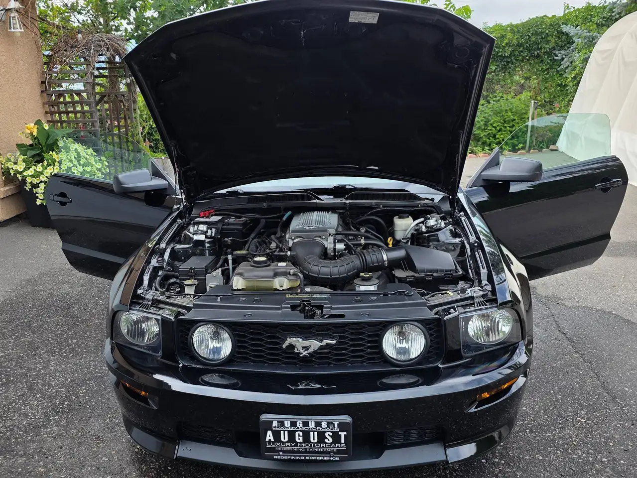 Ford Mustang fotografie Ford Mustang