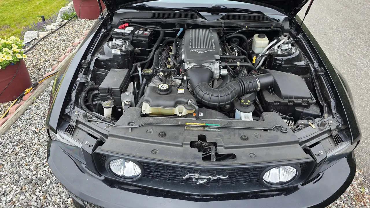 Ford Mustang fotografie Ford Mustang