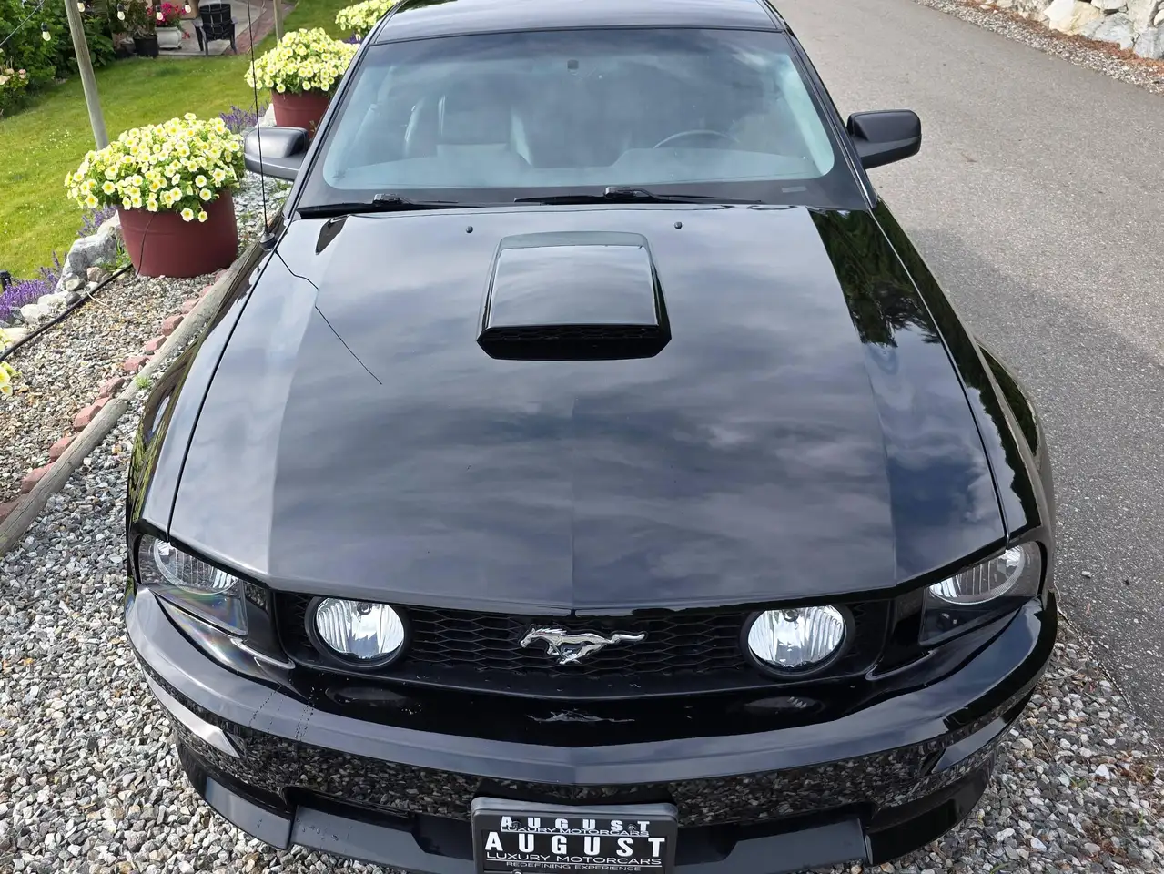 Ford Mustang fotografie Ford Mustang