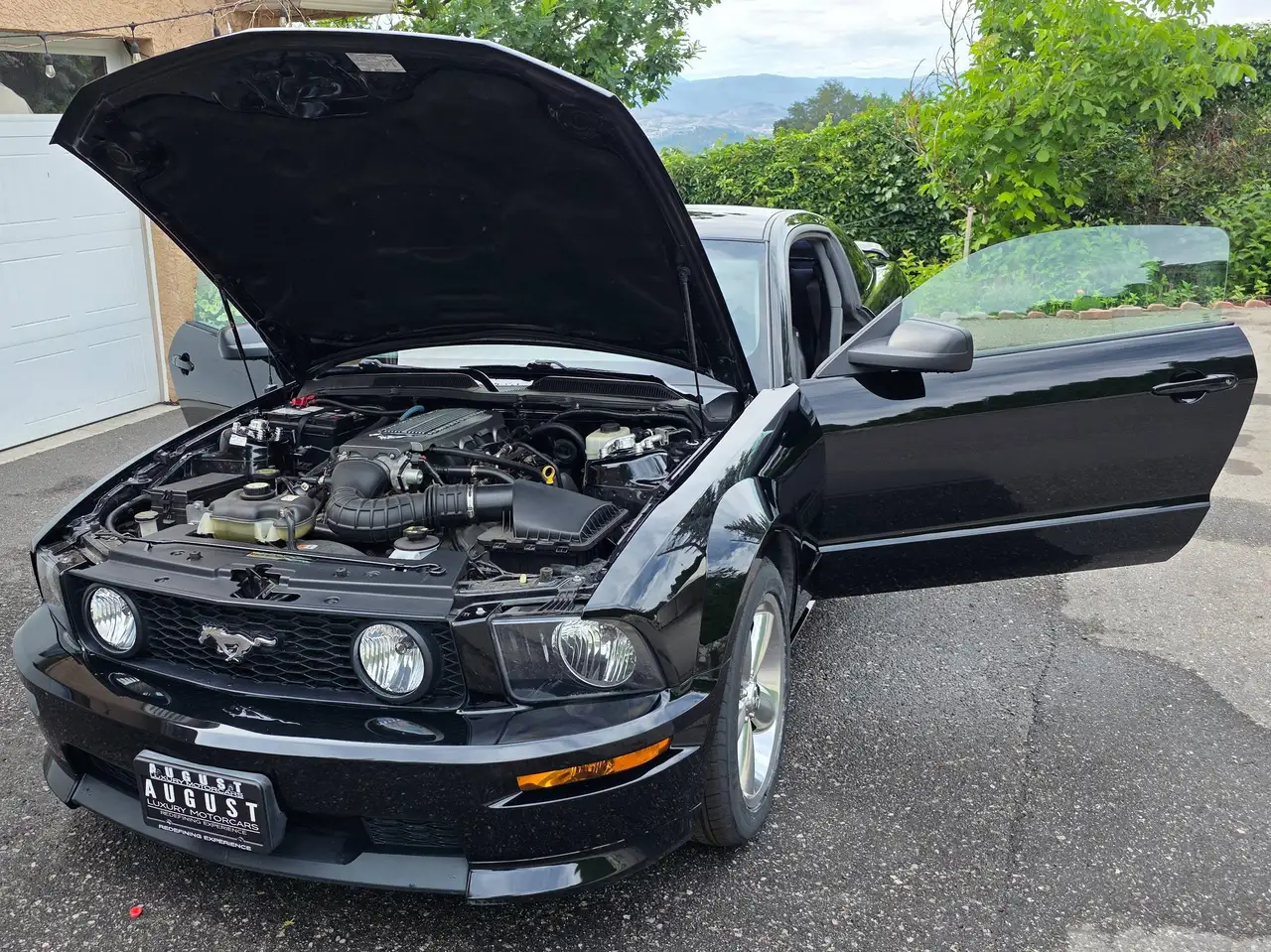 Ford Mustang fotografie Ford Mustang