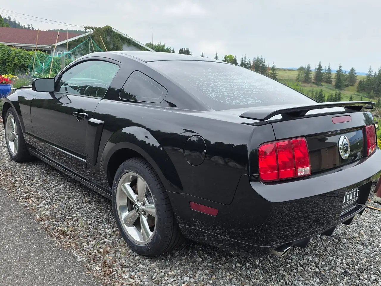 Ford Mustang fotografie Ford Mustang