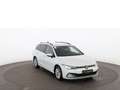 Volkswagen Golf Variant Golf VIII Variant 2.0 TDI Life Aut LED AHK RADAR Blanco - thumbnail 6