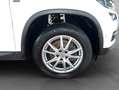 Skoda Kodiaq 2.0 TDI 4x4 DSG Clever Wit - thumbnail 23