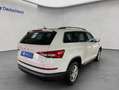 Skoda Kodiaq 2.0 TDI 4x4 DSG Clever Wit - thumbnail 6