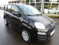 Fiat Panda Easy 1.2 [KLIMA/CD/5-TÜRIG] Noir - thumbnail 3