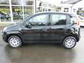 Fiat Panda Easy 1.2 [KLIMA/CD/5-TÜRIG] Noir - thumbnail 5