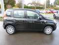 Fiat Panda Easy 1.2 [KLIMA/CD/5-TÜRIG] Noir - thumbnail 4