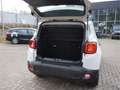 Jeep Renegade Altitude Mild-Hybrid FWD 1.5 Allwetter Weiß - thumbnail 12