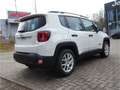 Jeep Renegade Altitude Mild-Hybrid FWD 1.5 Allwetter Weiß - thumbnail 5