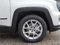 Jeep Renegade Altitude Mild-Hybrid FWD 1.5 Allwetter Weiß - thumbnail 8