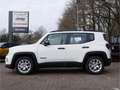 Jeep Renegade Altitude Mild-Hybrid FWD 1.5 Allwetter Weiß - thumbnail 2