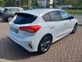 Ford Focus Focus 1.5 Ecoblue ST-Line 120 Cv Blanco - thumbnail 5
