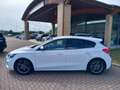 Ford Focus Focus 1.5 Ecoblue ST-Line 120 Cv Blanco - thumbnail 8