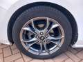 Ford Focus Focus 1.5 Ecoblue ST-Line 120 Cv Blanco - thumbnail 27