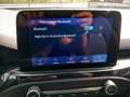 Ford Focus Focus 1.5 Ecoblue ST-Line 120 Cv Blanco - thumbnail 11