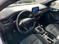 Ford Focus Focus 1.5 Ecoblue ST-Line 120 Cv Blanco - thumbnail 17