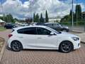 Ford Focus Focus 1.5 Ecoblue ST-Line 120 Cv Blanco - thumbnail 4