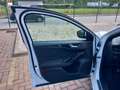 Ford Focus Focus 1.5 Ecoblue ST-Line 120 Cv Blanco - thumbnail 19