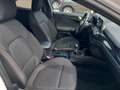 Ford Focus Focus 1.5 Ecoblue ST-Line 120 Cv Blanco - thumbnail 24