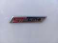 Ford Focus Focus 1.5 Ecoblue ST-Line 120 Cv Blanco - thumbnail 26