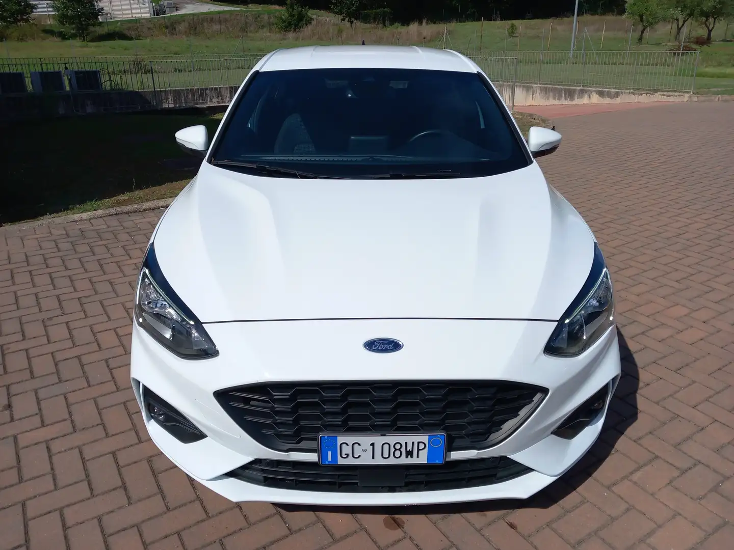 Ford Focus Focus 1.5 Ecoblue ST-Line 120 Cv Blanco - 2