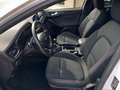 Ford Focus Focus 1.5 Ecoblue ST-Line 120 Cv Blanco - thumbnail 18
