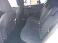 Ford Focus Focus 1.5 Ecoblue ST-Line 120 Cv Blanco - thumbnail 20