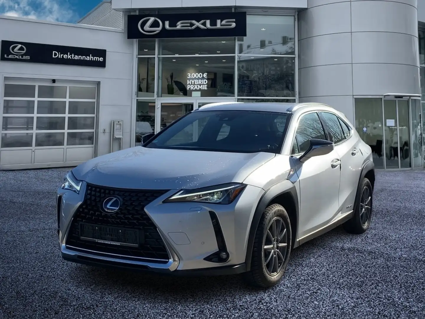 Lexus UX 250h UX 250 h 250h Launch Edition Argento - 2