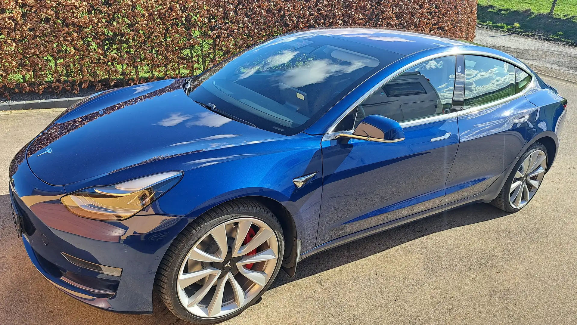 Tesla Model 3 Performance Bleu - 1