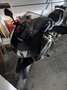 Honda VTR 1000 1000F Firestorm Nero - thumbnail 3