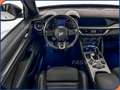 Alfa Romeo Stelvio 2.2 Turbodiesel 210 CV AT8 Q4 Veloce Bianco - thumbnail 10