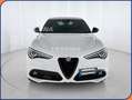 Alfa Romeo Stelvio 2.2 Turbodiesel 210 CV AT8 Q4 Veloce Bianco - thumbnail 2