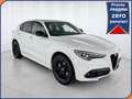 Alfa Romeo Stelvio 2.2 Turbodiesel 210 CV AT8 Q4 Veloce Bianco - thumbnail 1