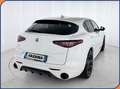 Alfa Romeo Stelvio 2.2 Turbodiesel 210 CV AT8 Q4 Veloce Bianco - thumbnail 6