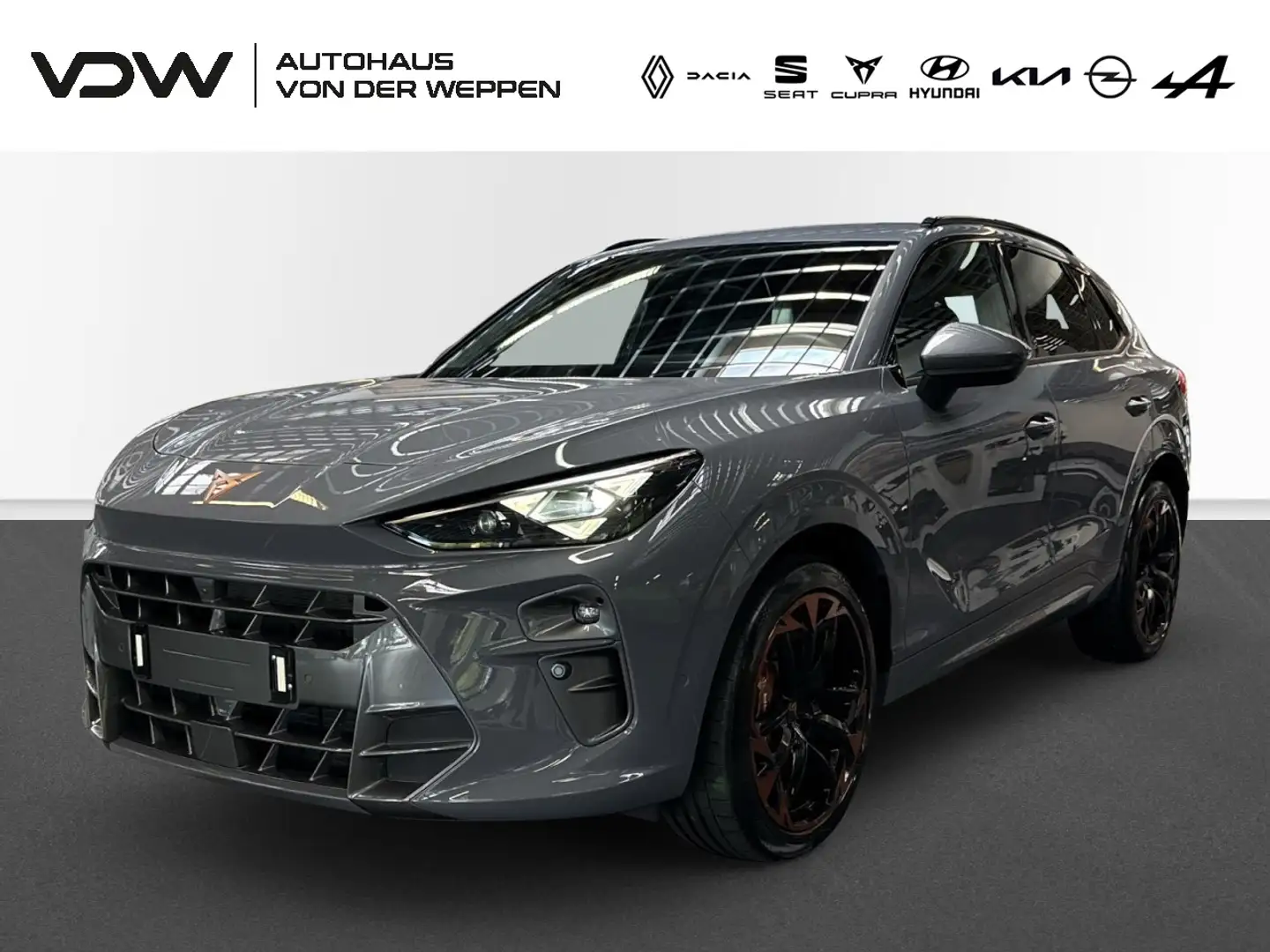 CUPRA Terramar VZ TSI DSG 4Drive Akebono Pano Matrix Klima Leder Grau - 1