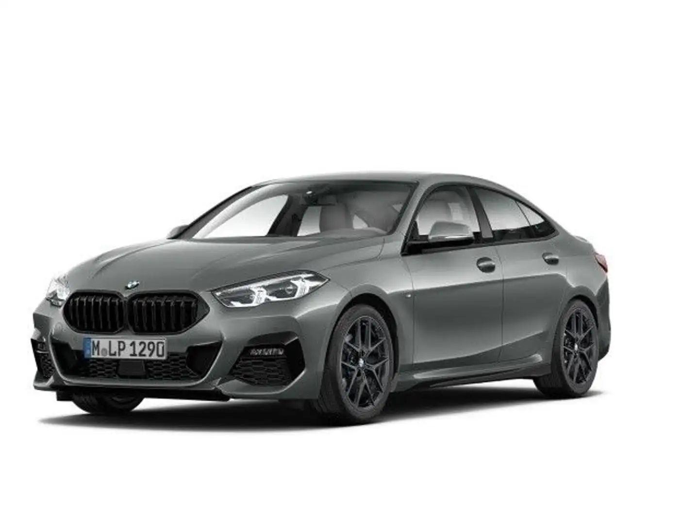 BMW Sonstige 218iA Gran Coupe M Sport Sportsitze 18-Zoll M Rä Grau - 1