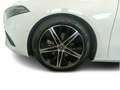 Mercedes-Benz A 200 PROG./360/LED/DIST./STHZ/TW Blanco - thumbnail 11