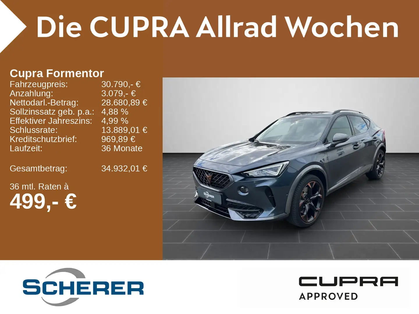 CUPRA Formentor VZ 2.0 TSI 4Drive DSG RFK CarPlay Grau - 1