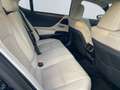 Lexus ES 300 EU6d h Luxury Line *HUD*360°*Pano*ACC*PDC* Bleu - thumbnail 20