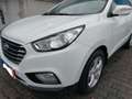Hyundai iX35 Fuel Cell 2WD Weiß - thumbnail 6