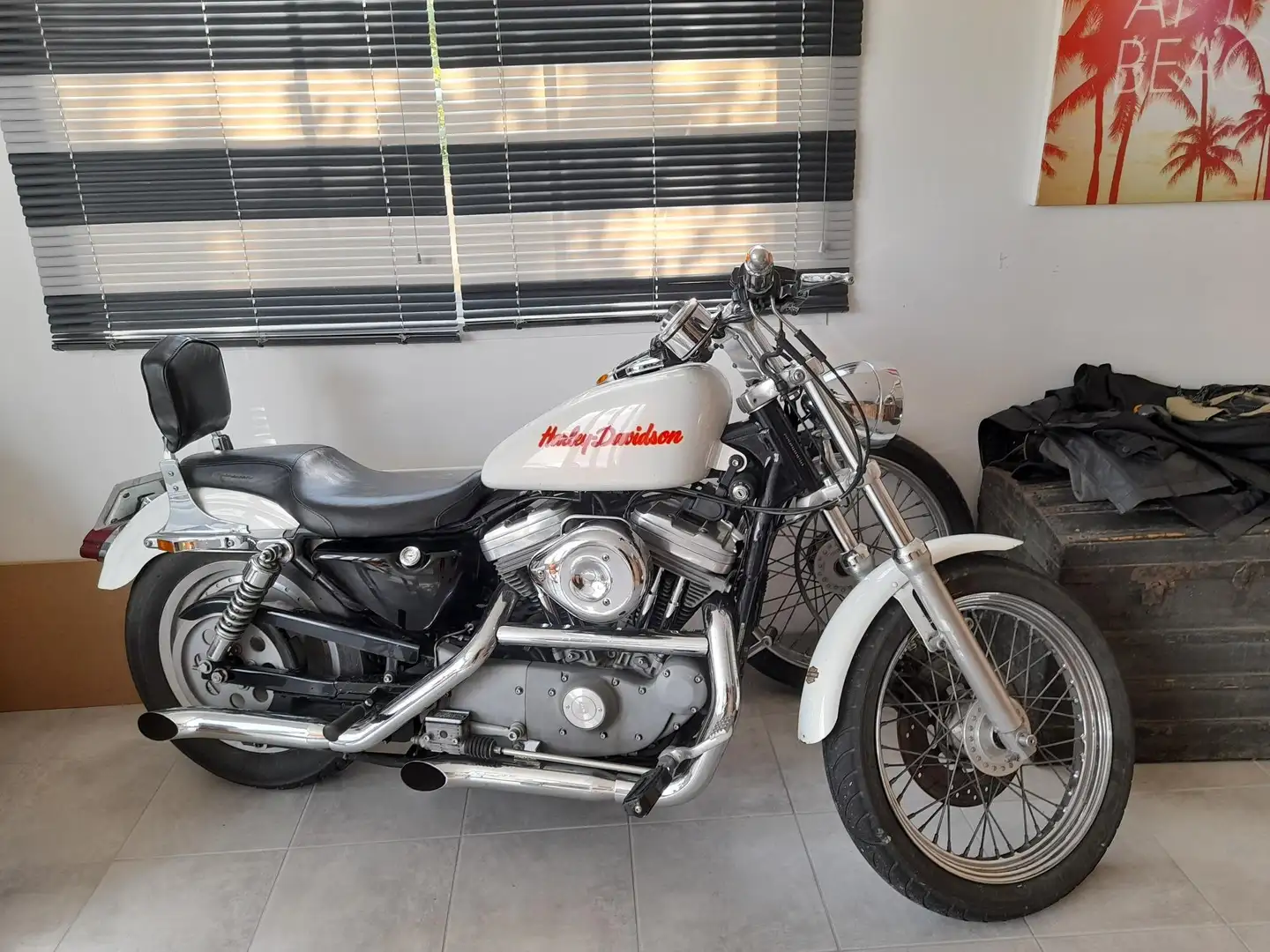 Harley-Davidson Sportster 883 Blanco - 1
