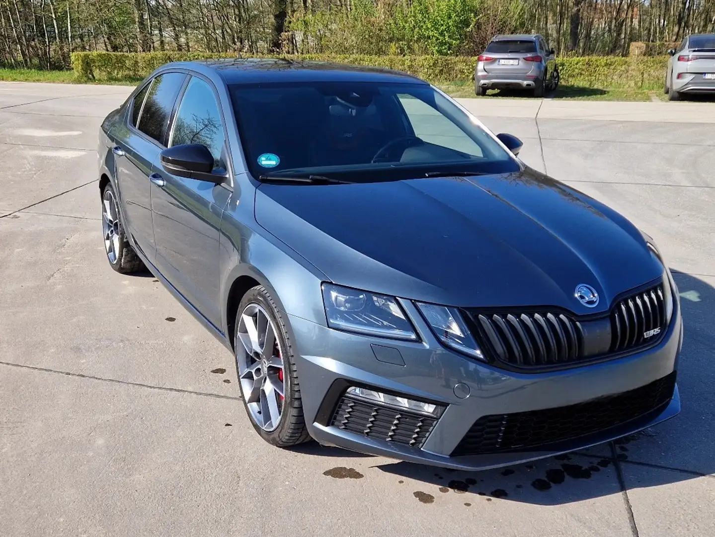 Skoda Octavia 2.0 TSI DSG RS Grijs - 1