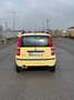 Fiat Panda 1.2 Alessi UNICOPROPRIETARIO - thumbnail 5