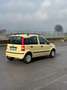 Fiat Panda 1.2 Alessi UNICOPROPRIETARIO - thumbnail 7