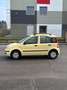 Fiat Panda 1.2 Alessi UNICOPROPRIETARIO - thumbnail 4