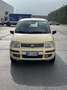Fiat Panda 1.2 Alessi UNICOPROPRIETARIO - thumbnail 3