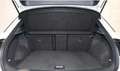 Volkswagen T-Roc 1.5 TSI SPORT Bianco - thumbnail 14