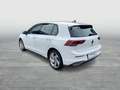 Volkswagen Golf GTE GTE DSG NAVI LED+ SITZHZ LM17 Bianco - thumbnail 3